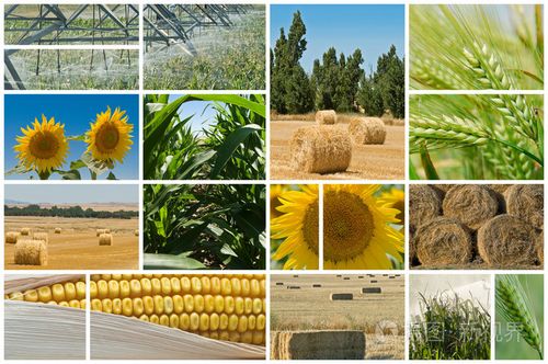 农业照片-正版商用图片0azjak-摄图新视界