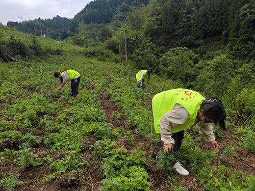 贵州农业职业学院 普通话推广与农技服务同步推进